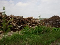 img (164)
